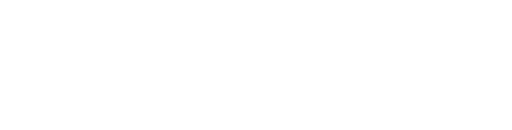 RE Image Co logo white